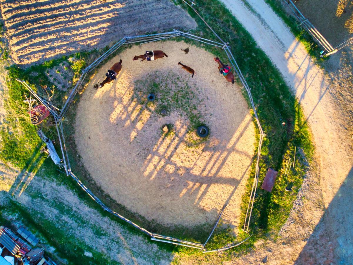Gospodarstwo Agroturystyczne "Paryja" Olpiny エクステリア 写真